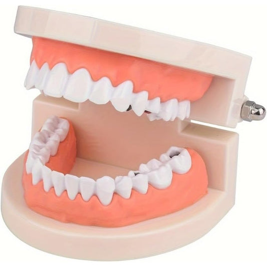 Modelo de Estudio de Caries Dental de Tamaño Real 1:1, Material PVC, Ideal para Enseñanza de Anatomía Dental